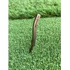 Mitten Golf Supply - Curved Slim Stick pitch mark/divot tool
