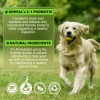 Bienestar General Perro Cuidado Digestivo 100% Natural