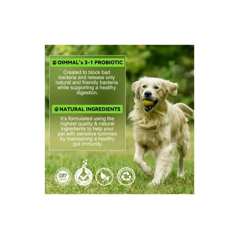 Bienestar General Perro Cuidado Digestivo 100% Natural