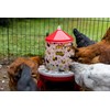 My Favorite Chicken Backyard Poultry Layer Starter Kit: Mountable Rollout