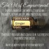 doTERRA Ginger Essential Oil 15ml doTERRA New Sealed Free Shipping!