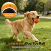Automatic Interactive Dog Ball - Self Moving Toy for Medium