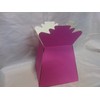 5 x Hot Pink Florist Aqua Boxes - Living Vases