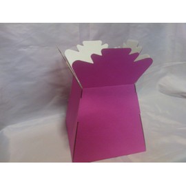5 x Hot Pink Florist Aqua Boxes - Living Vases - Hand Tie Boxes
