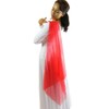 Danzcue Worship Dance Finger Loop Chiffon Drape, Scarlet