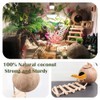 10PCS Crested Gecko Tank Accessories, Reptile Plants Bridge Vines, Coconut