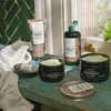 The Body Shop Leave in Conditioner – Jamaican Black Castor