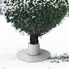 GIONAR Pack of 2 Winter Protection for Palm Trees Root