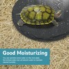 aleawol 3Pack Tortoise Slate Pad, Large Rectangular Reptile Basking Platform