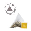 Althaus Tee GINGER BREEZE ⋅ Kräutertee im Pyramidenbeutel PYRA PACK