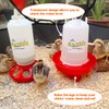 ZenxyHoC Chick Feeder and Waterer Set, 0.3 Gal Feeder and