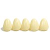 Dental Polycarbonate Temporary Crowns Refills (44)