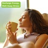 Kathy Ireland Nutrition Golden Oat Milk Instant Beverage Powder Mix,