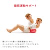 Sakurai Boeki #54147 Erugam Fitness Ball, Abdominal Muscle Tama