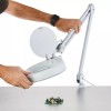 AmScope 2.25X Magnification 5" Diameter Lens 90 LED Desk Clamp
