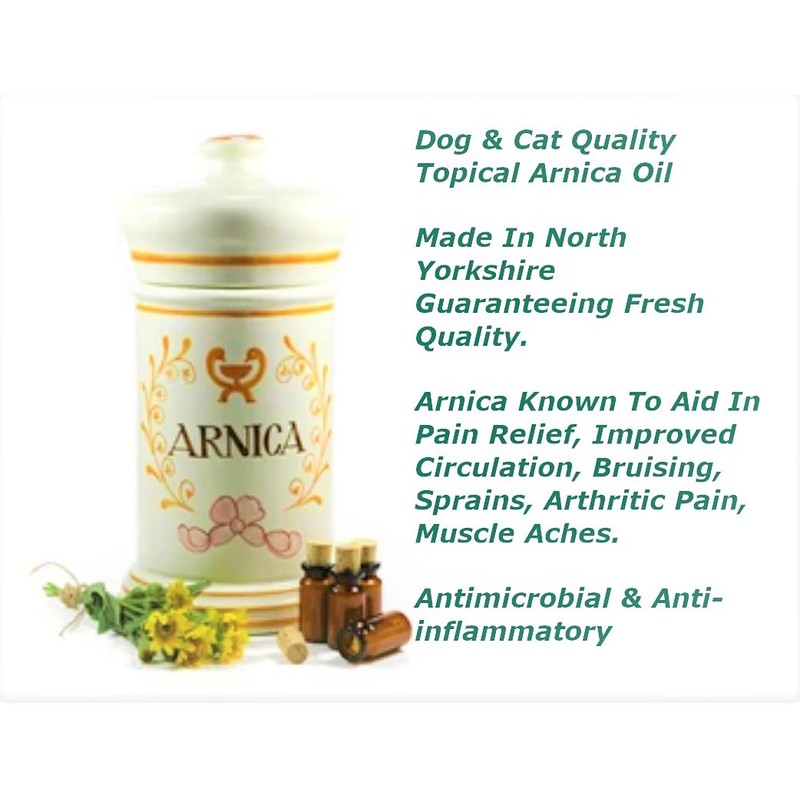 Natural Arnica (Arnica Montana) Oil For Dog & Cat 100ml: