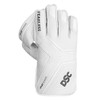 DSC Split Players Wicket Keeping Gloves (White and Green, Youth)
