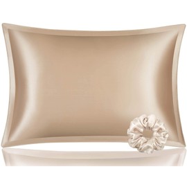 DISANGNI 100% Mulberry Silk Pillowcase，for Hair and Skin, Envelope Type, Silk Pillowcase one Side，Real Silk Pillowcase (Gold, Queen(50x75cm))