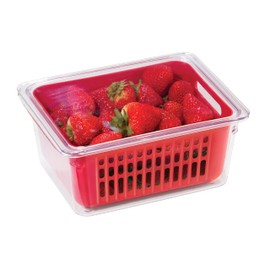 Oggi 5169 Berry Bin - Single Basket, Red
