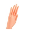 Beavorty Manicure Training Hand Nail Art Practice Lightweight Reusable Nail