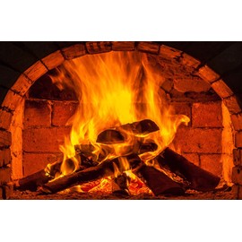 WOLADA Christmas Fireplace Backdrop Fire Backdrop Burning Firewoods Backdrop Camping Barbeques Party Decor Banner 5x3FT FW54