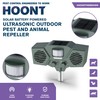 Hoont Solar Powered Motion Activated Ultrasonic with Flashing Strobe Light