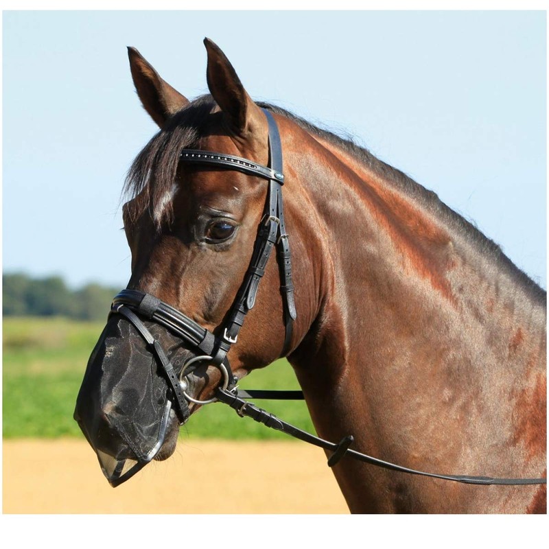 Busse WB Nostril Protection Fly Protection Black