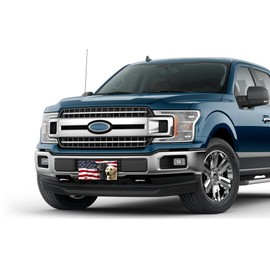 Labradors on American Flag License Plate