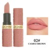 Set 6 Labiales Mate Marrón Rojo Larga Duración W