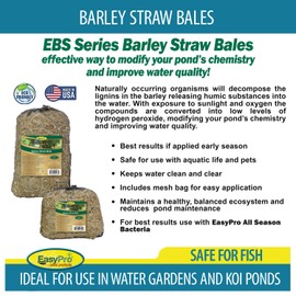 EasyPro Pond Products EBS Barley Straw Bale for Ponds and Waterfalls - Keeps Water Clean and Clear - Reduces Pond Maintenance - ½ lb. Bale Treats 500 Gallons - Safe for Aquatic Life and Pets