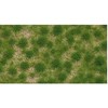 Busch - Grasbuschel Kurz Fruling 2 Mm - BU3511