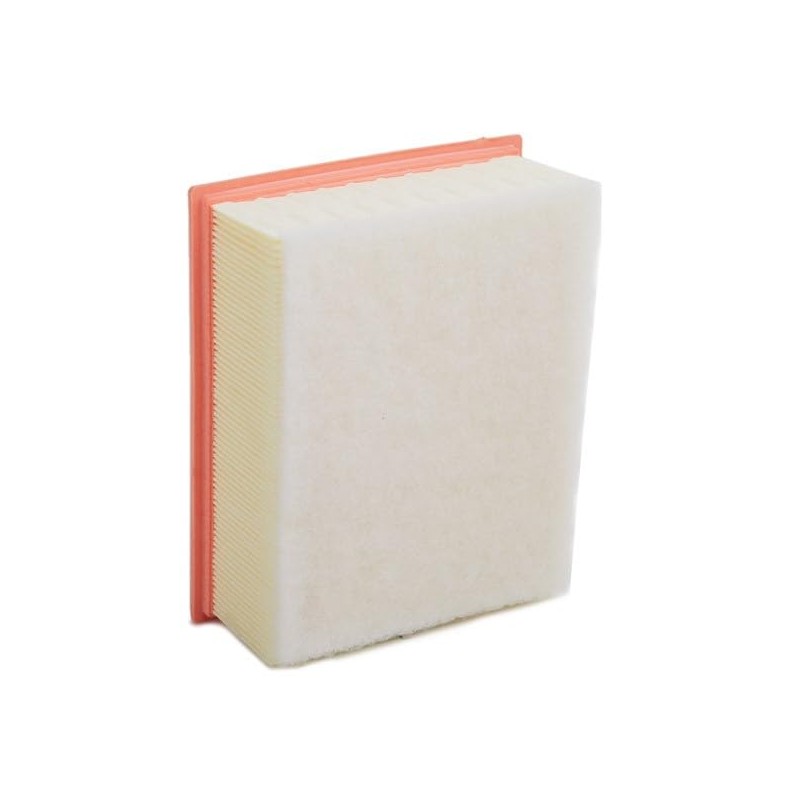 Valeo 585007 Air Filter