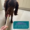 Zanipro Probiotic Refill Pouch for Dogs - 150ml Paste Prebiotic