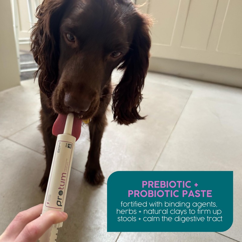 Zanipro Probiotic Refill Pouch for Dogs - 150ml Paste Prebiotic