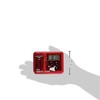 Sper Scientific 810040 Visual & Audible Alarm Timer - 99