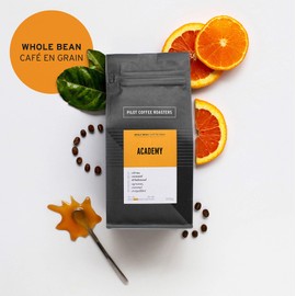Pilot Coffee Roasters Academy Signature Everyday Blend, Whole Bean Coffee, 300 g