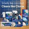 CLOROX Scentiva ToiletWand Toilet Cleaner Refills, Toilet brush, Coconut and