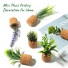Joyibay Plant Fridge Magnets Mini Succulent Magnets Artificial Plants Refrigerator