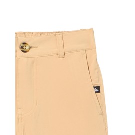 Quiksilver Boys Union Amphibian 13 Hybrid Shorts, Khaki 241
