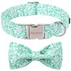 Unique style paws Summer Dog Collar with Bow Tie, Green,