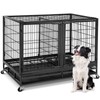 Oranland 48 inch Wire Dog Crate with Divider,2025 New Upgraded