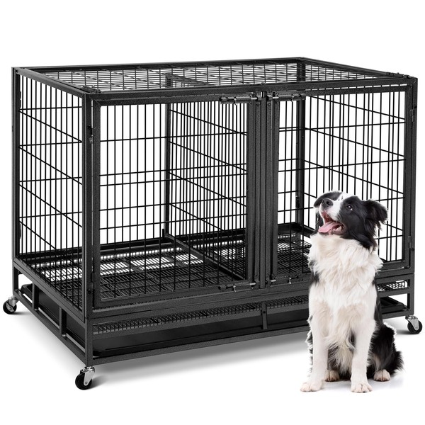 Oranland 48 inch Wire Dog Crate with Divider,2025 New Upgraded