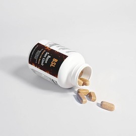 BoteInik Bann San Limit