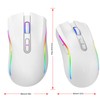 Wireless Mouse 2.4G USB Receiver 800 to 4800 DPI Ergonomic
