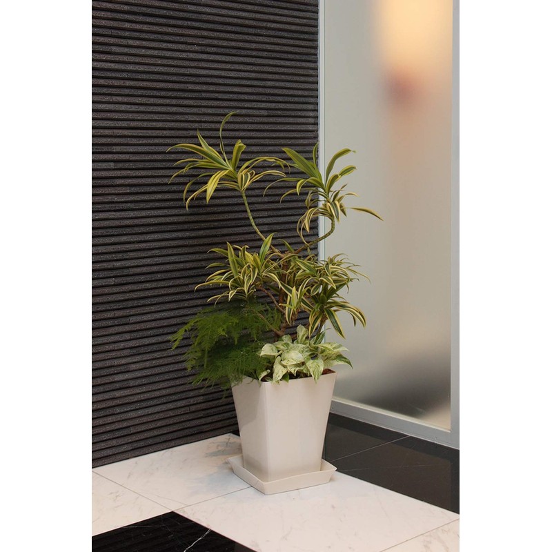 appuruuxea- gurasiapure-to