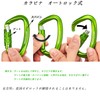 Carabiner 12KN Auto-lock BRAVESHINE Load Capacity 1,200 kg Locking Carabiner