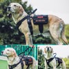 OneTigris Service Dog Vest Harness, Service Dog Cape Guardian Dog