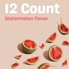 Bolero- Sugar Free Drink Mix Packets Watermelon Fruit Flavors |