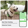 GlocalMe KeyTracker GPS Tracker for Dogs, Global Unlimited Range Pet