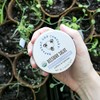 Savannah Bee Company Original Beeswax Salve - Deep Moisturizer Hand